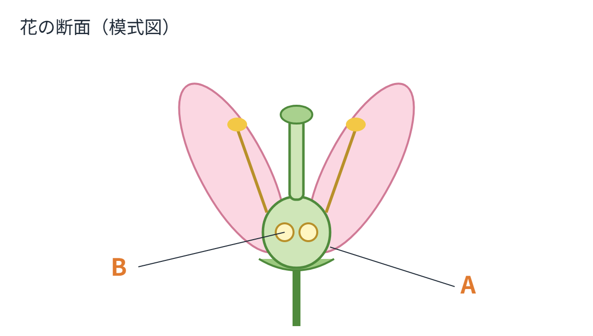 花のつくりの類題
