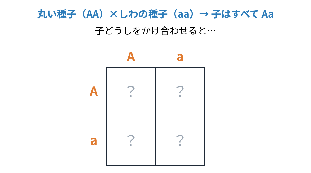 遺伝の規則性の類題