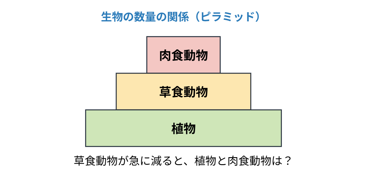 生物の数量の関係の類題