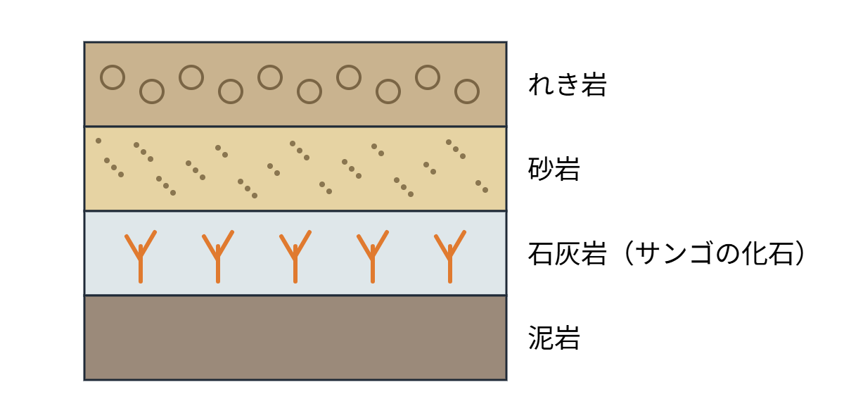 地層と化石の類題